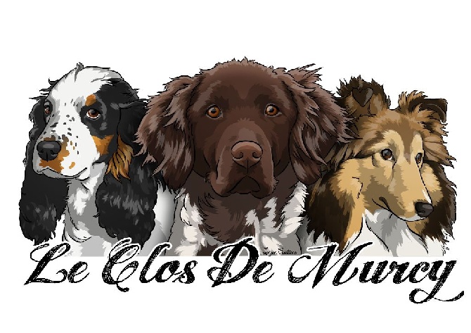 Du Clos De Murcy - LOGO TERMINE POUR L'ELEVAGE