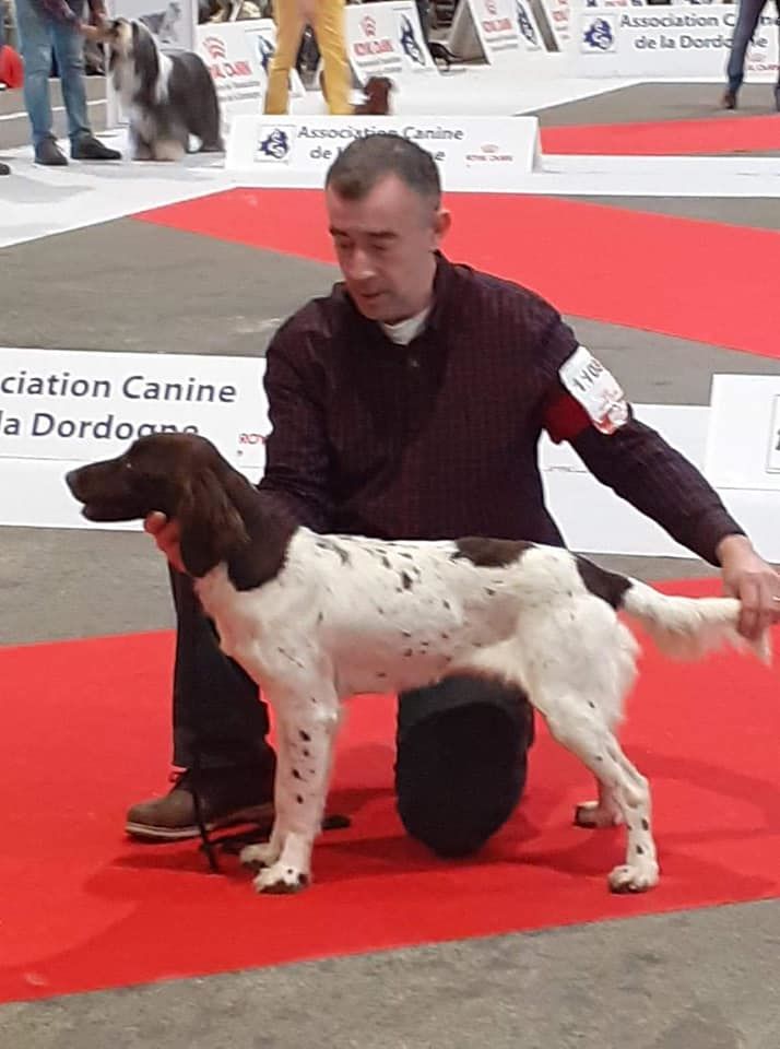 Du Clos De Murcy - ONYX 1ER EXC CACS CACIB