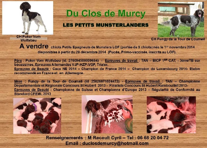 Du Clos De Murcy - les BB ont 12 jours !!