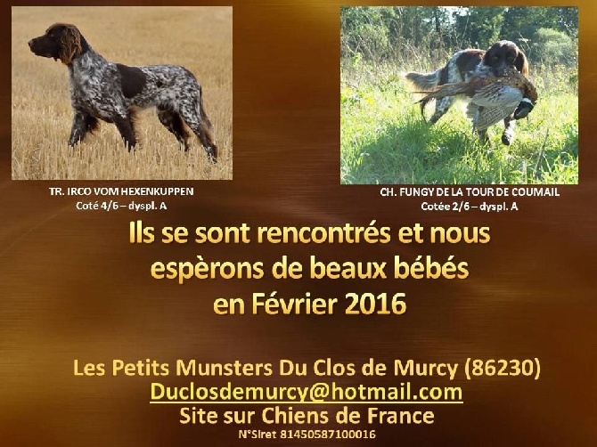Du Clos De Murcy - FUNGY - IRCO VONT AVOIR DES BB