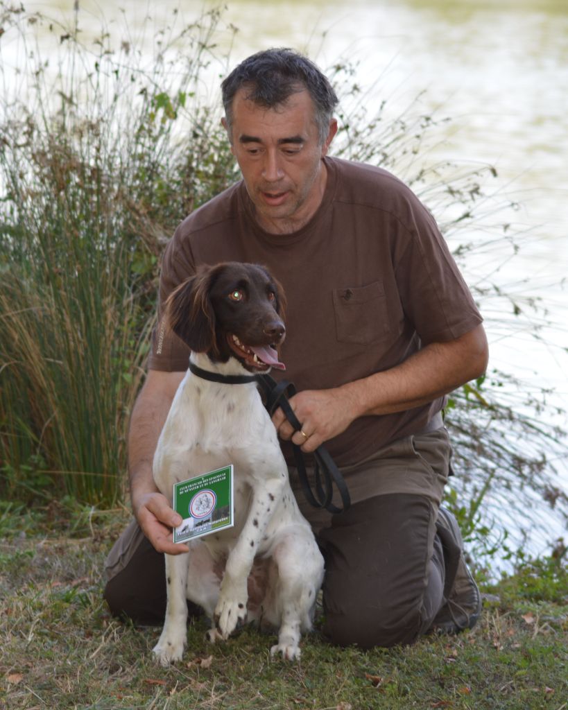 Du Clos De Murcy - ONYX GESTANTE NAISSANCE VERS LE 24 MARS