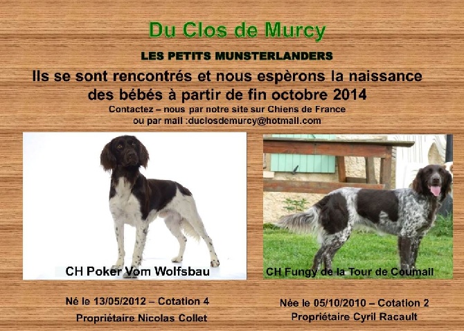 Du Clos De Murcy - Bientôt des bébés
