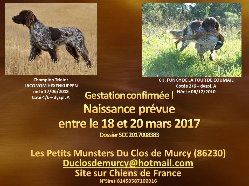 Du Clos De Murcy - Irco et Fungy
