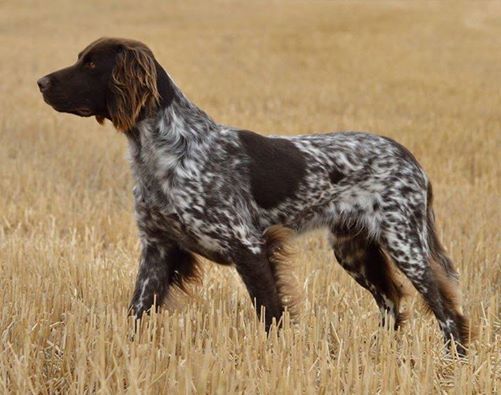Du Clos De Murcy - IRCO DEVIENT CHAMPION INTERNATIONAL DE BEAUTE